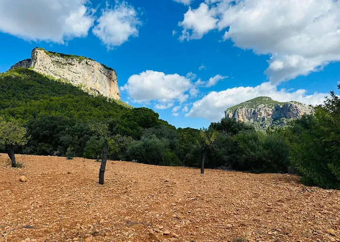 Agroturismo Son Penyaflor